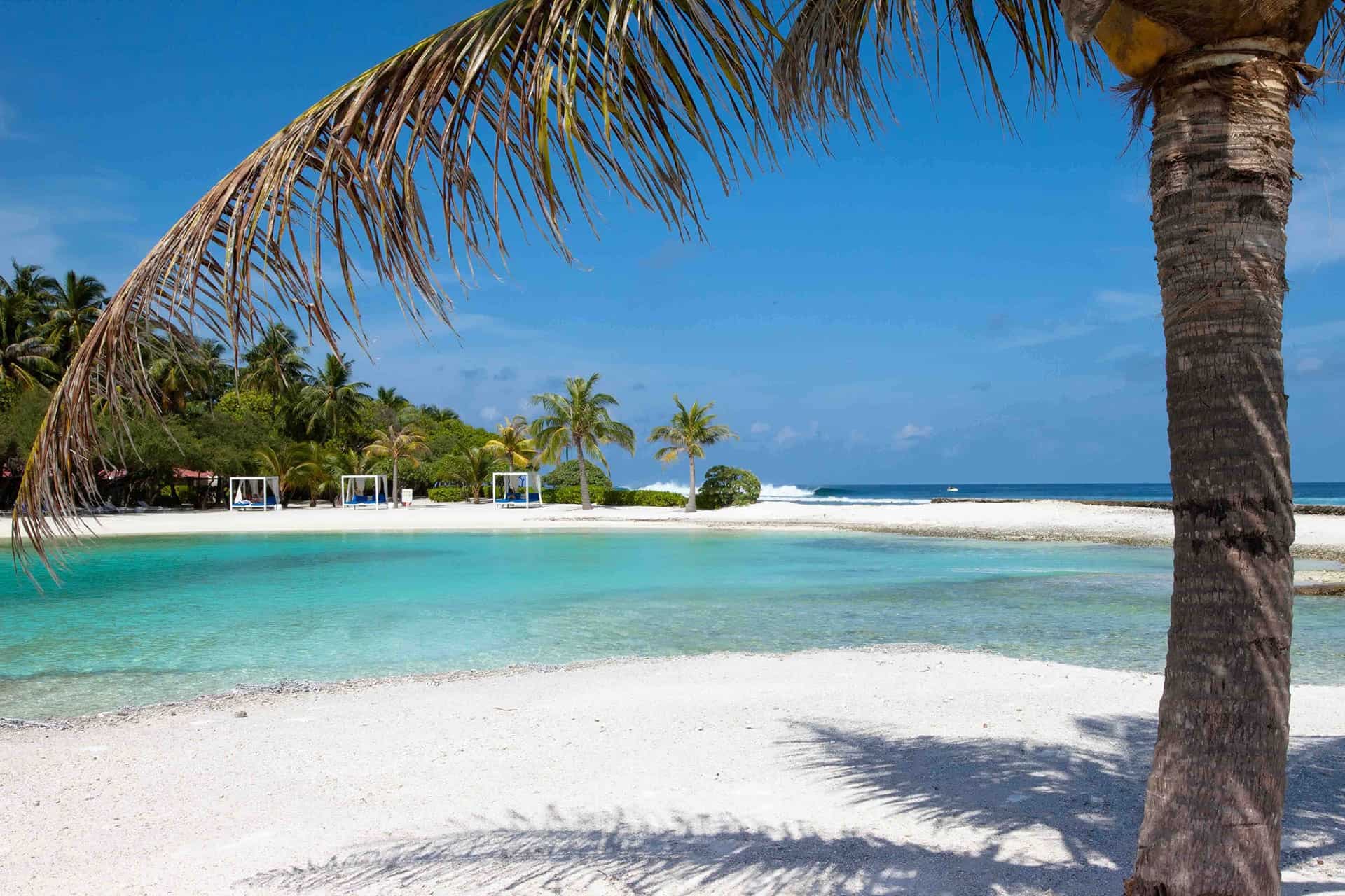Bernard Fanning Invites You To The Maldives