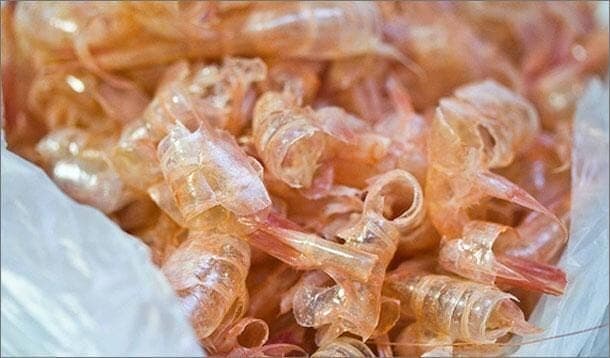 Chitin shrimp waste foam