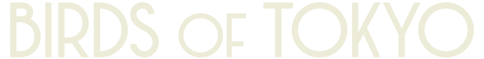 Artist 4